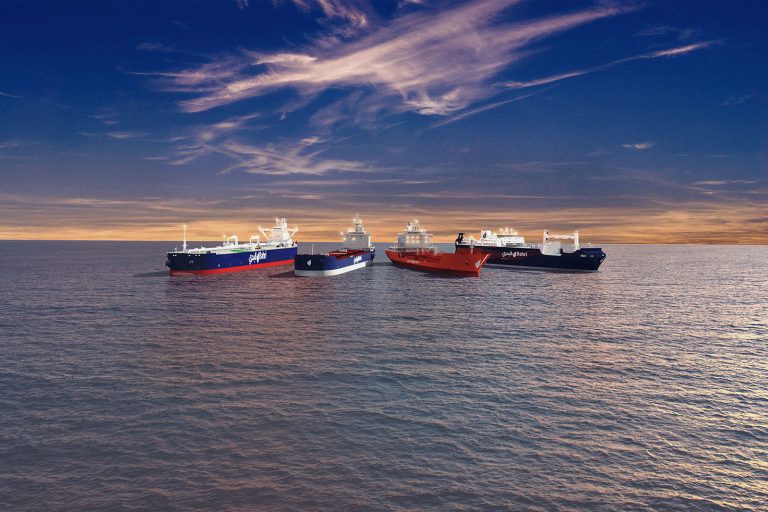 Bahri ships